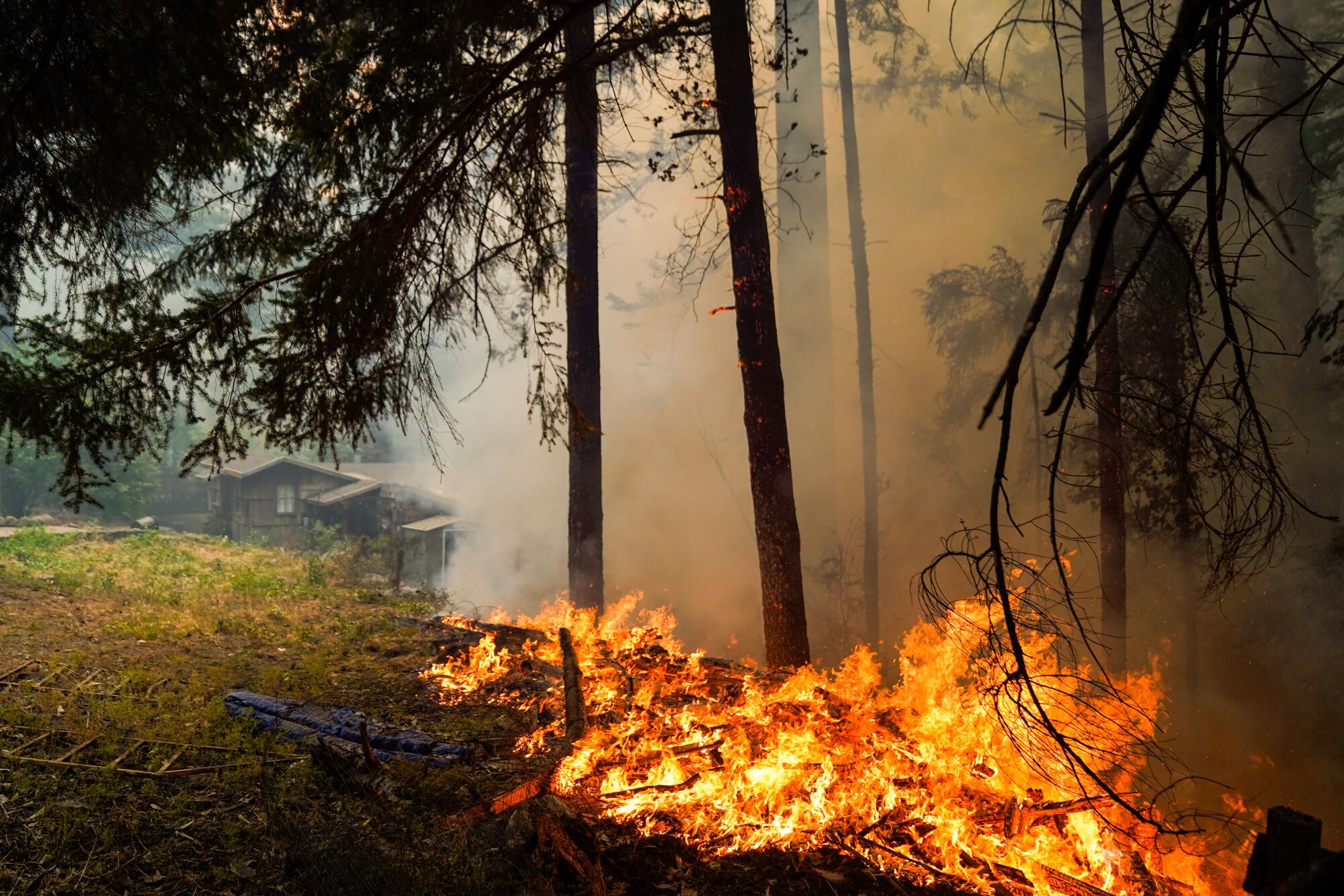 A wildfire nears a building. 