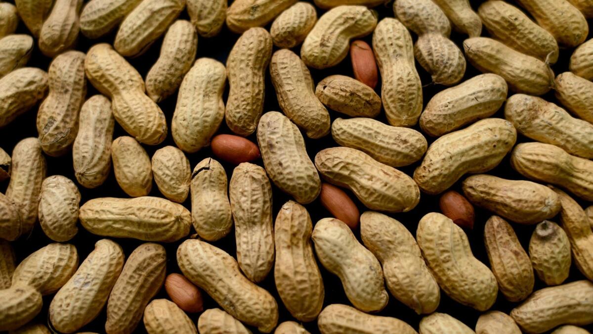 Some people have life-threatening reactions if exposed to peanuts.
