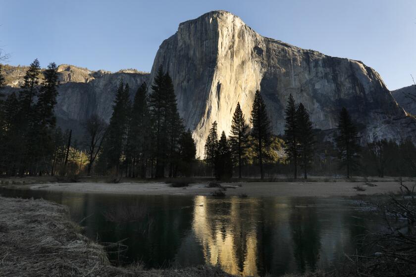 YOSEMITE NATIONAL PARK, CA - APRIL 11: Yosemite National Park is closed to visitors due to the coronavirus, Covid 19. El Capitan at sunrise on April 11, 2020. Animals roam the park without having to worry about crowds of people. Madera County on Saturday, April 11, 2020 in Yosemite National Park, CA. (Carolyn Cole / Los Angeles Times)