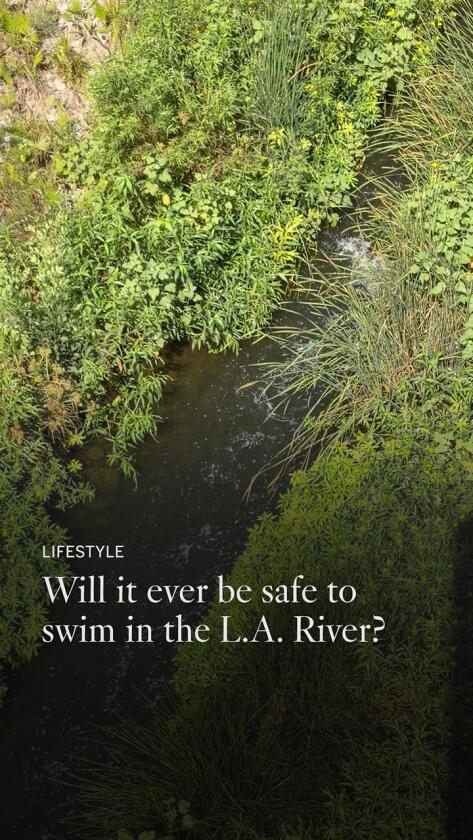 Will it ever be safe to swim in the L.A. River?