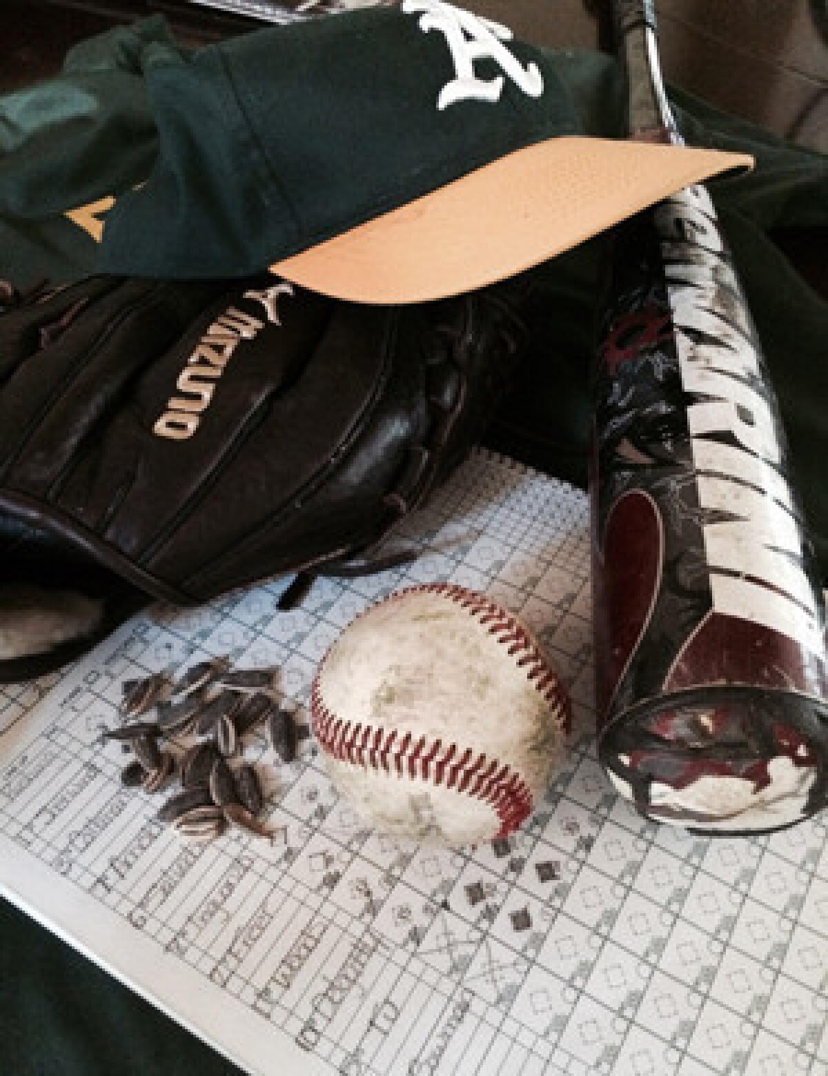 When it comes to being a youth baseball coach, it's essential to have the right tools: sunflower seeds, glove, scorebook and a bat costing more than some TVs.