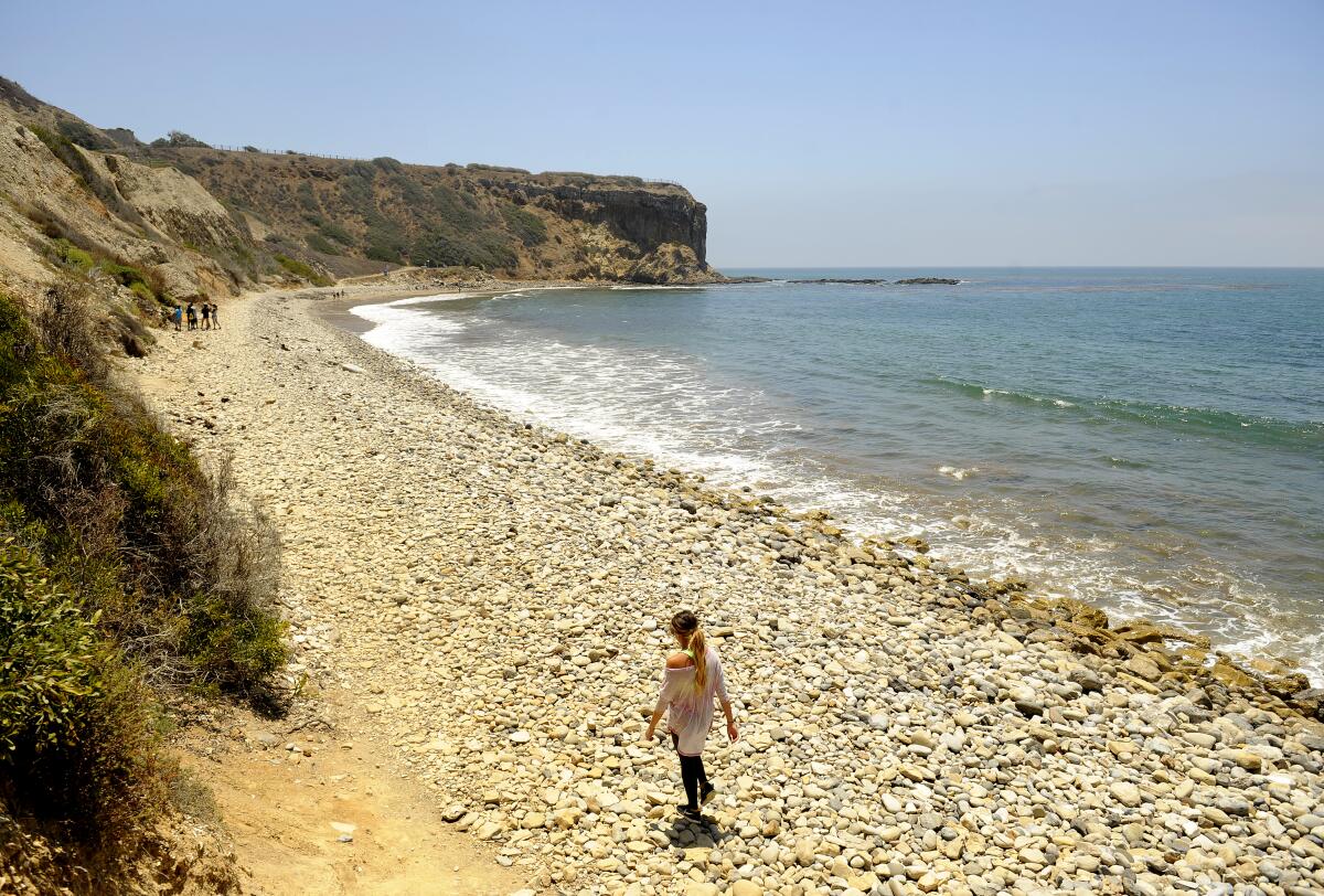 A woman walks along the rocky stretch of beach heading to the tidepools at Abalone Cove.