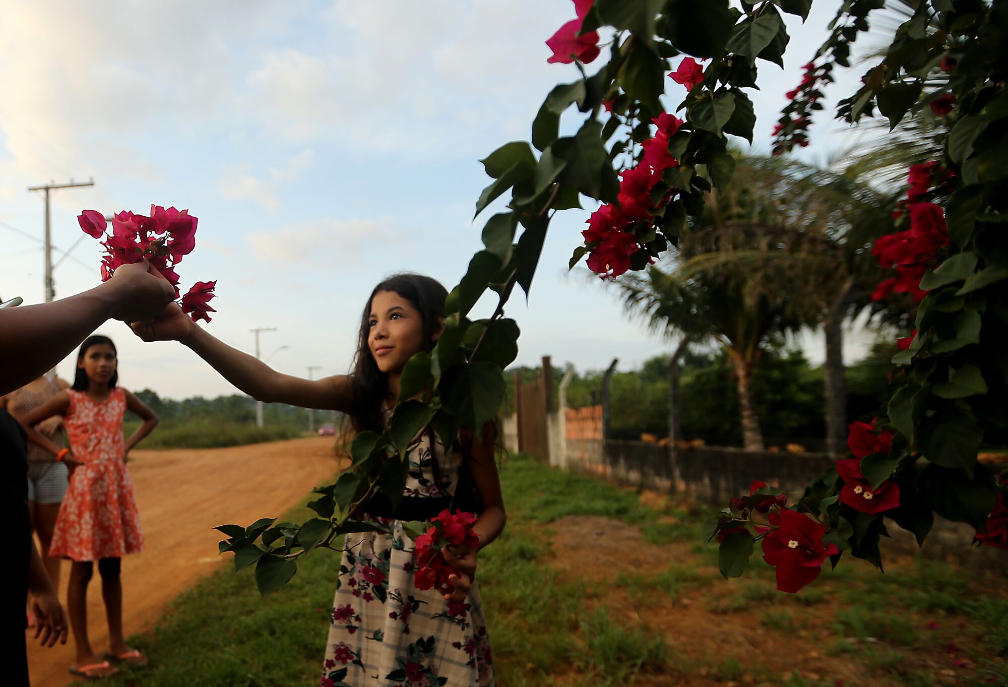 A girl picks flowers near her home in a jungle settlement. 