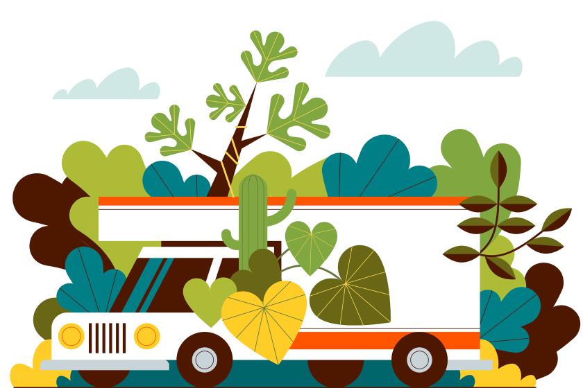 Illustration of a white moving van filled with plants and cacti with clouds above.