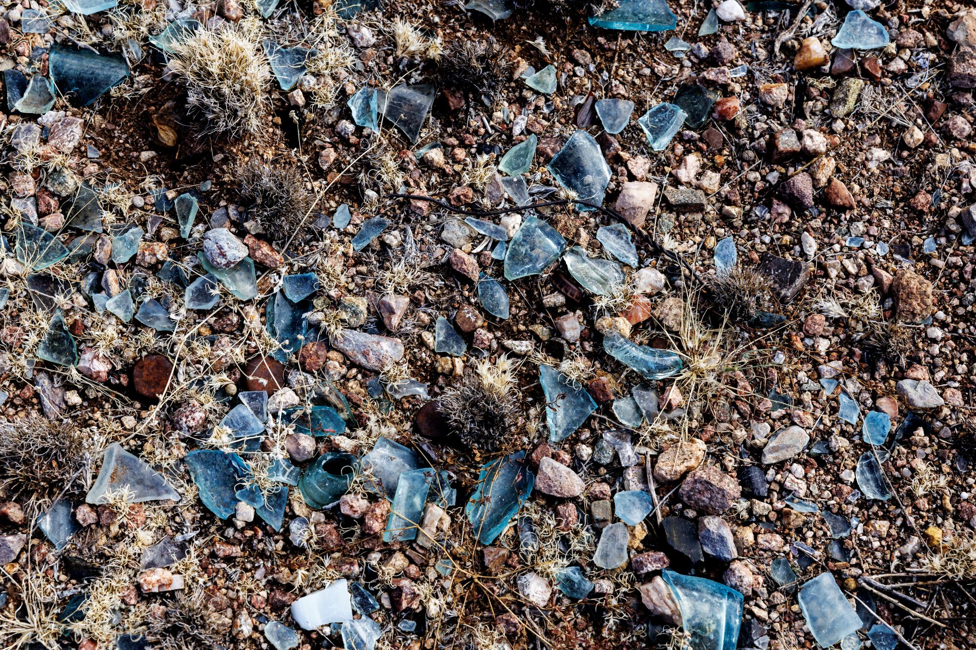Shards of broken glass lay in course sand.