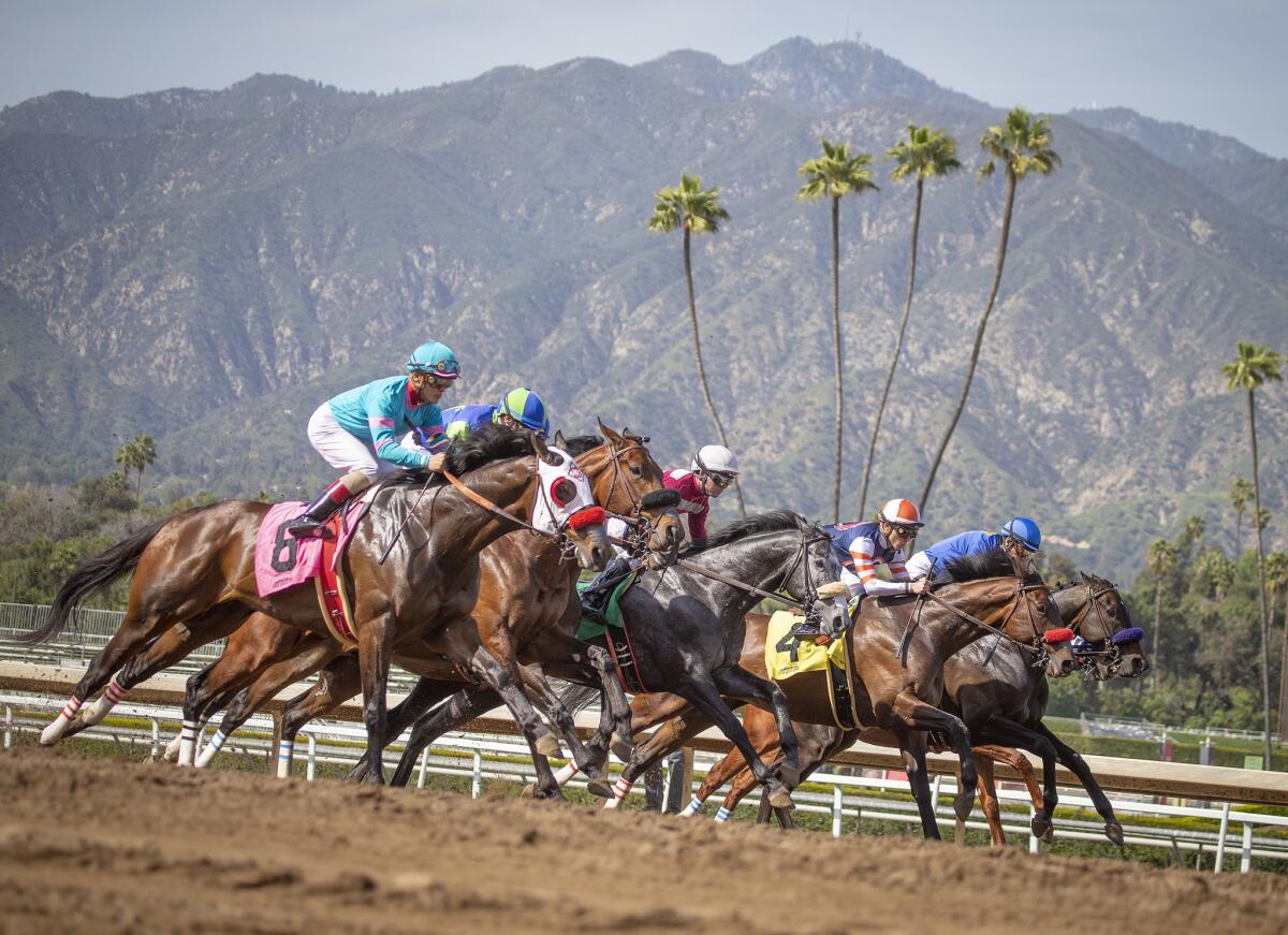 Horses break from the gate during a race at Santa Anita Park.