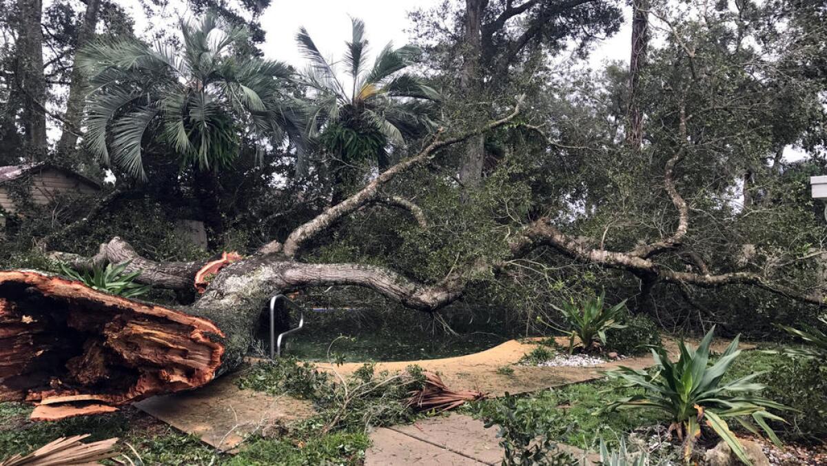 Downed trees were a common sight through much of central Florida.