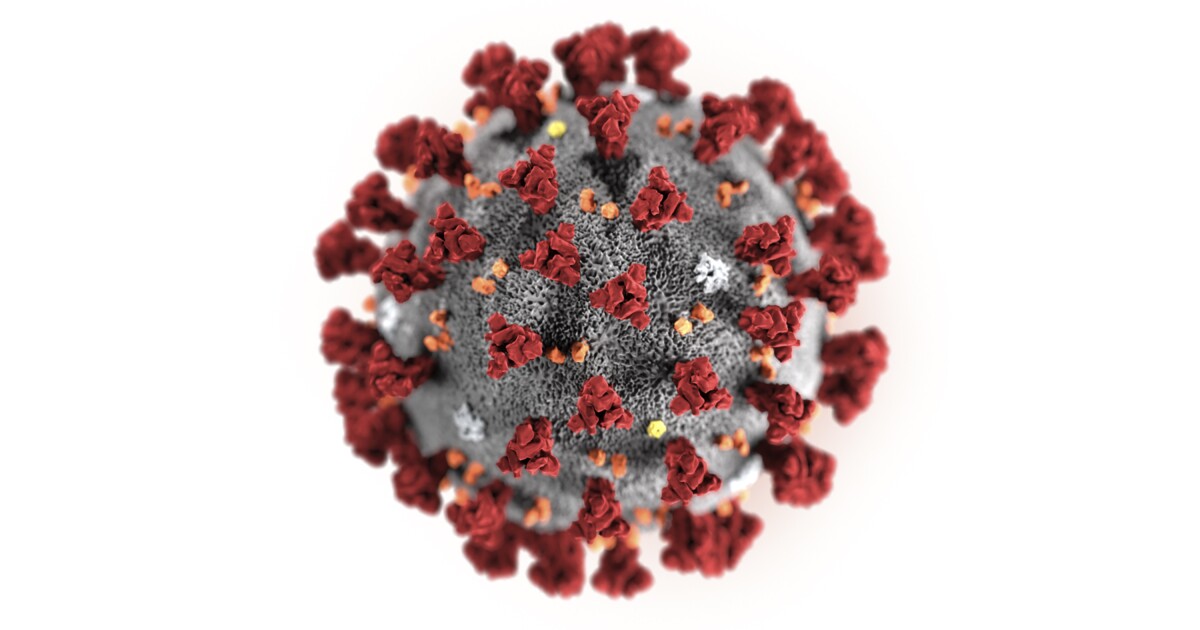 CDC: San Diego suspected coronavirus case tests negative - The San Diego Union-Tribune
