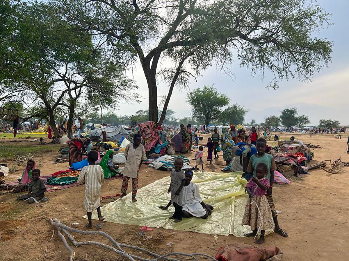 Refugees who fled the conflict in Sudan sitting under trees at the Zabout refugee camp in Chad