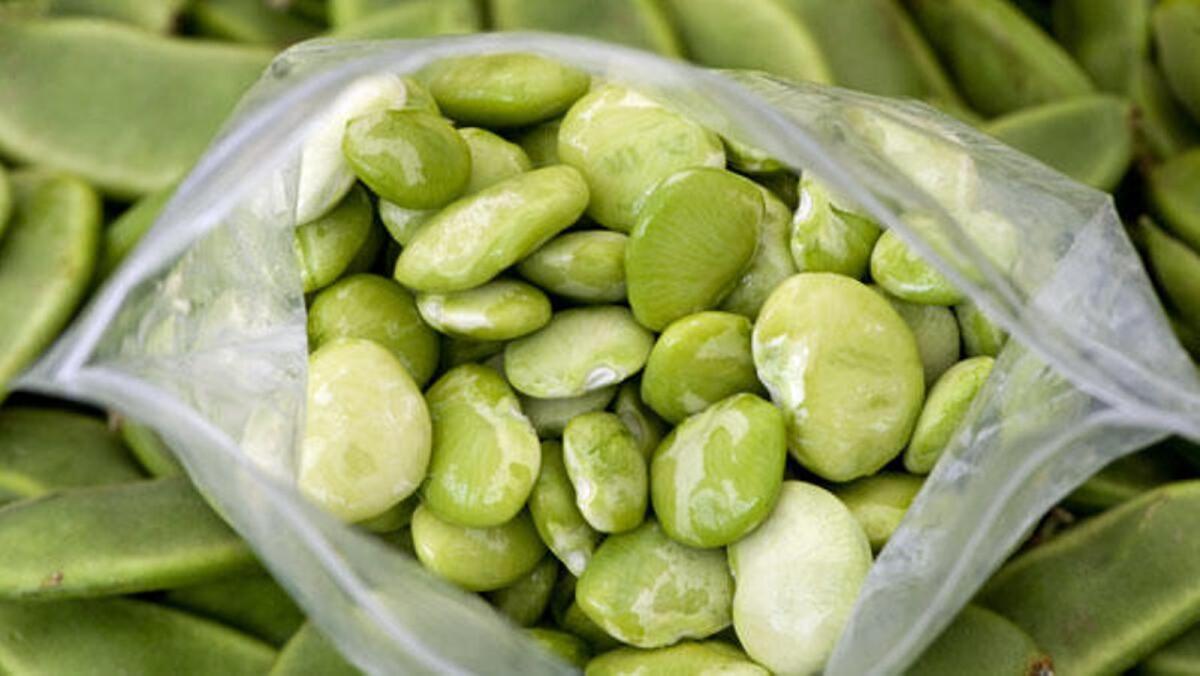 Shelled lima beans, with pods in the background, at the Hollywood farmers market.
