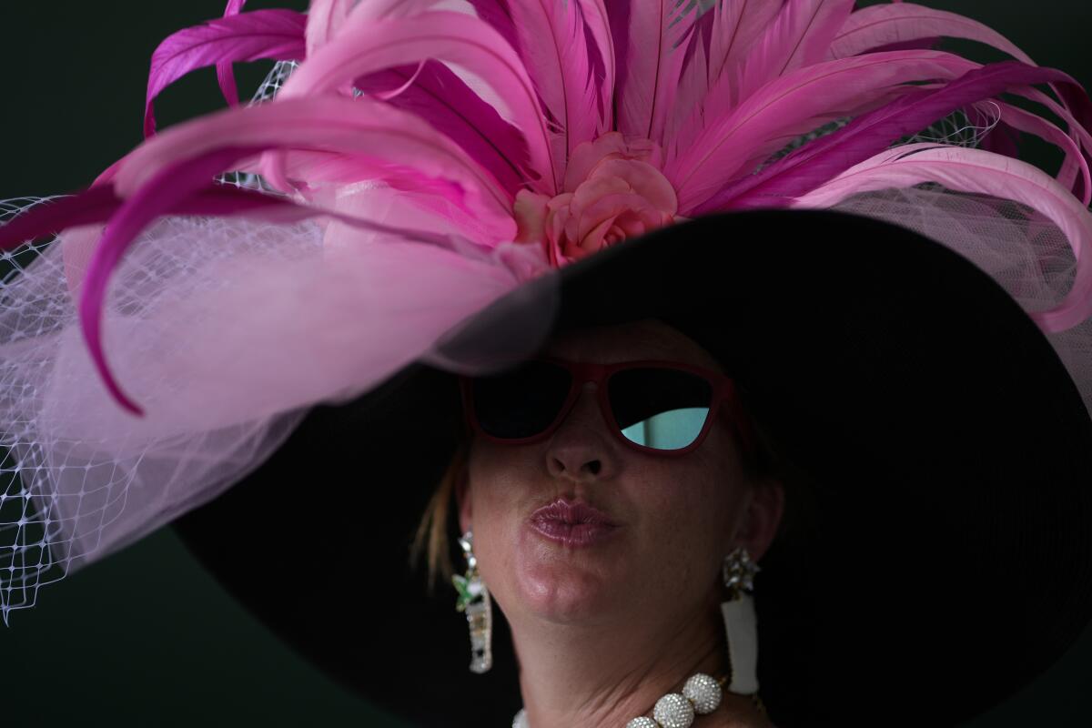A woman in shades wears a large black hat with pink feathers and pink tulle and netting on it.