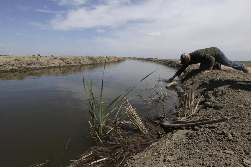 Gino Celli draws a water sample to check the salinity in an irrigation canal that runs through his fields near Stockton. Celli farms 1,500 acres of land and manages an additional 7,000 acres, has senior water rights and draws his irrigation water from the Sacramento-San Joaquin River Delta.
