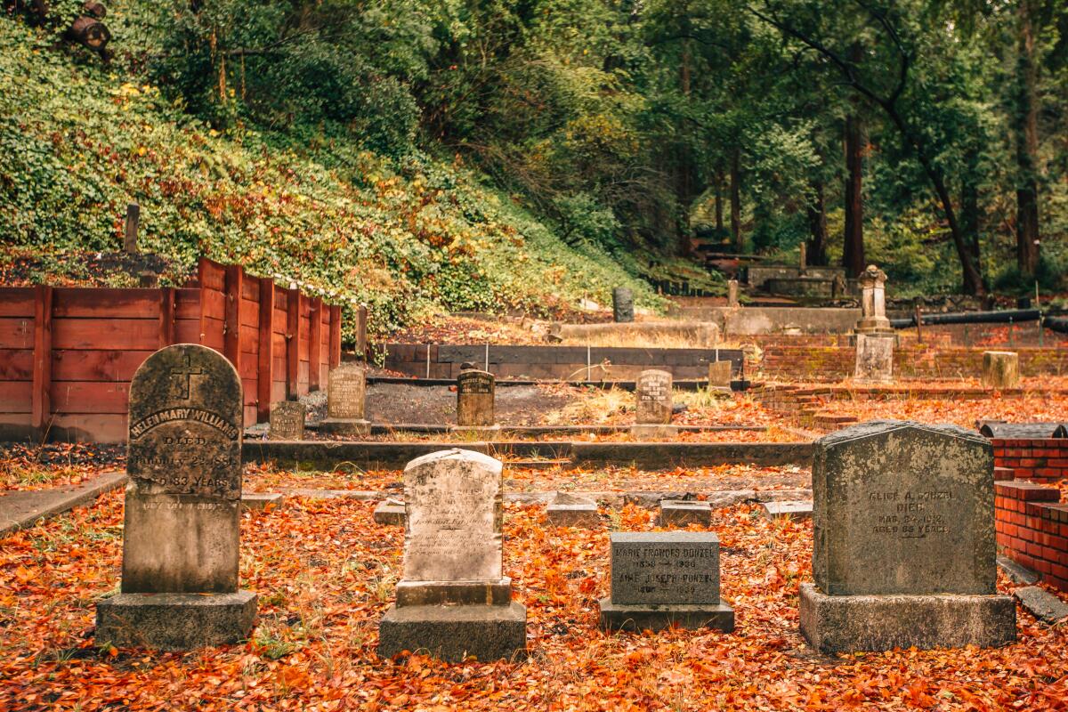 Tombstones surrounded by fall leaves