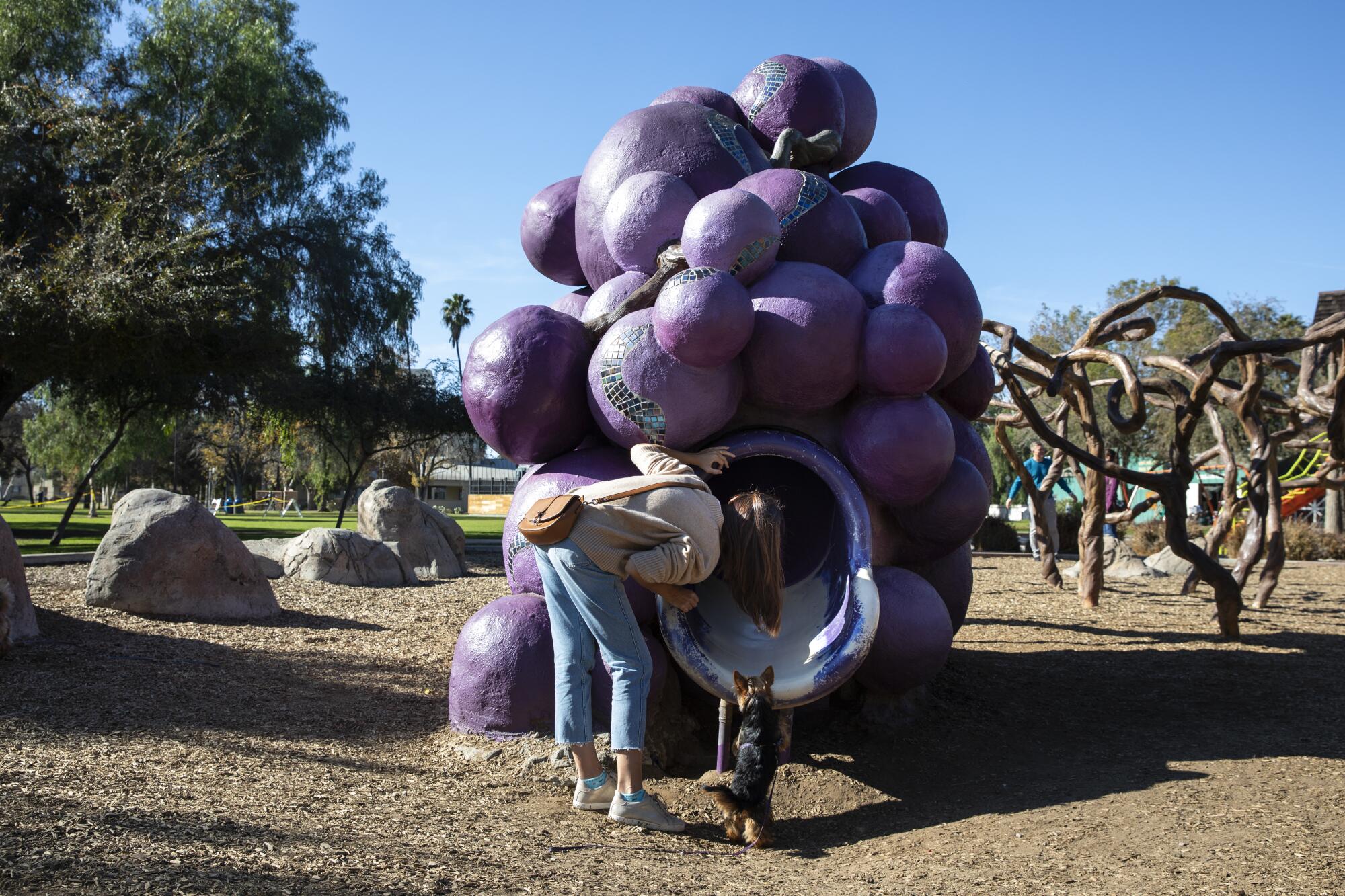 Anna Ermak stands at the bottom of a slide with her friend's dog