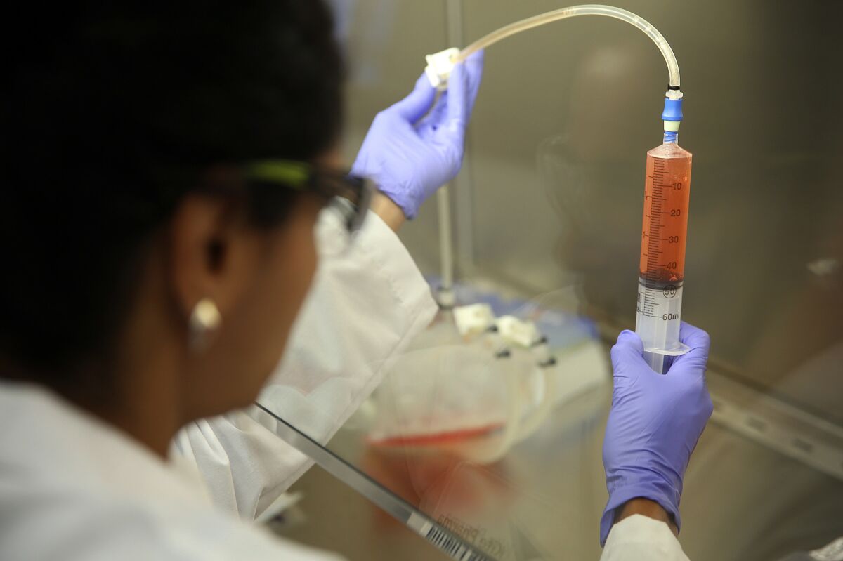 A researcher works with donor cells to test a new treatment for blood cancer, in this file photo.