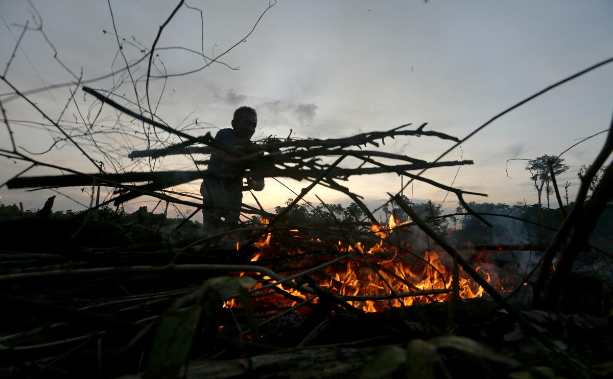 A person loads branches into a fire