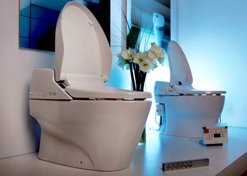 The bidet may be a French invention, but in Japan, the deluxe toilet has become an art form. The Japanese brand Toto has a store in West Hollywood where it sells its toilet-bidet combos Neorest 600, left, and 500. Other perks: a heated seat, auto flush and a lid that opens when you approach.
