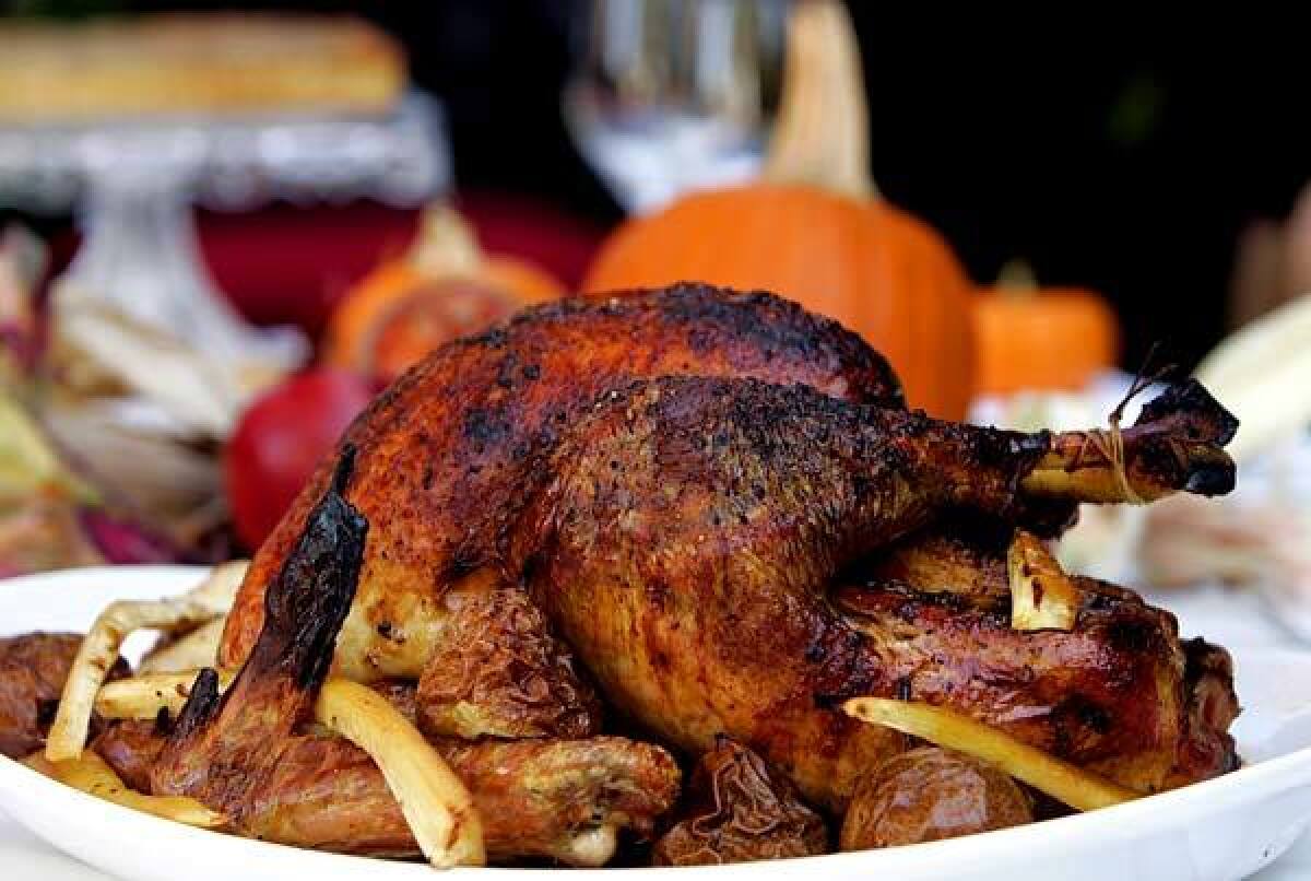 BIG BIRD: Shaffer's Thanksgiving choice is a brined heritage turkey, prepared with blistered pears and parsnips.