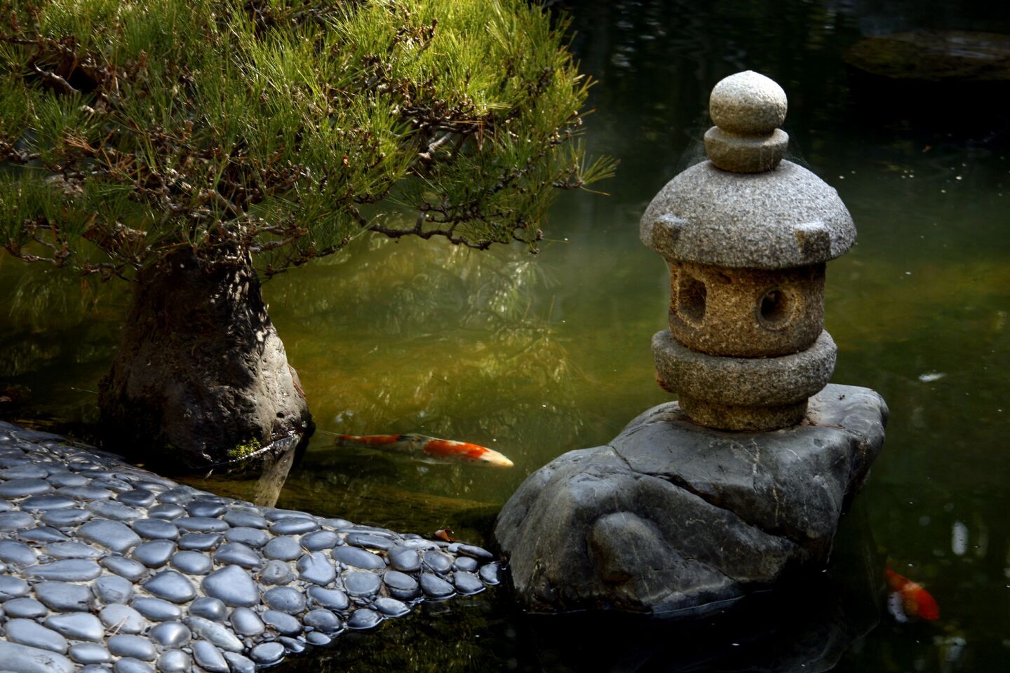 UCLA Japanese garden