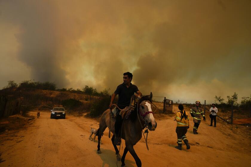 FILE - A resident flees an encroaching forest fire in Vina del Mar, Chile, Feb. 3, 2024. (AP Photo/Esteban Felix, File)