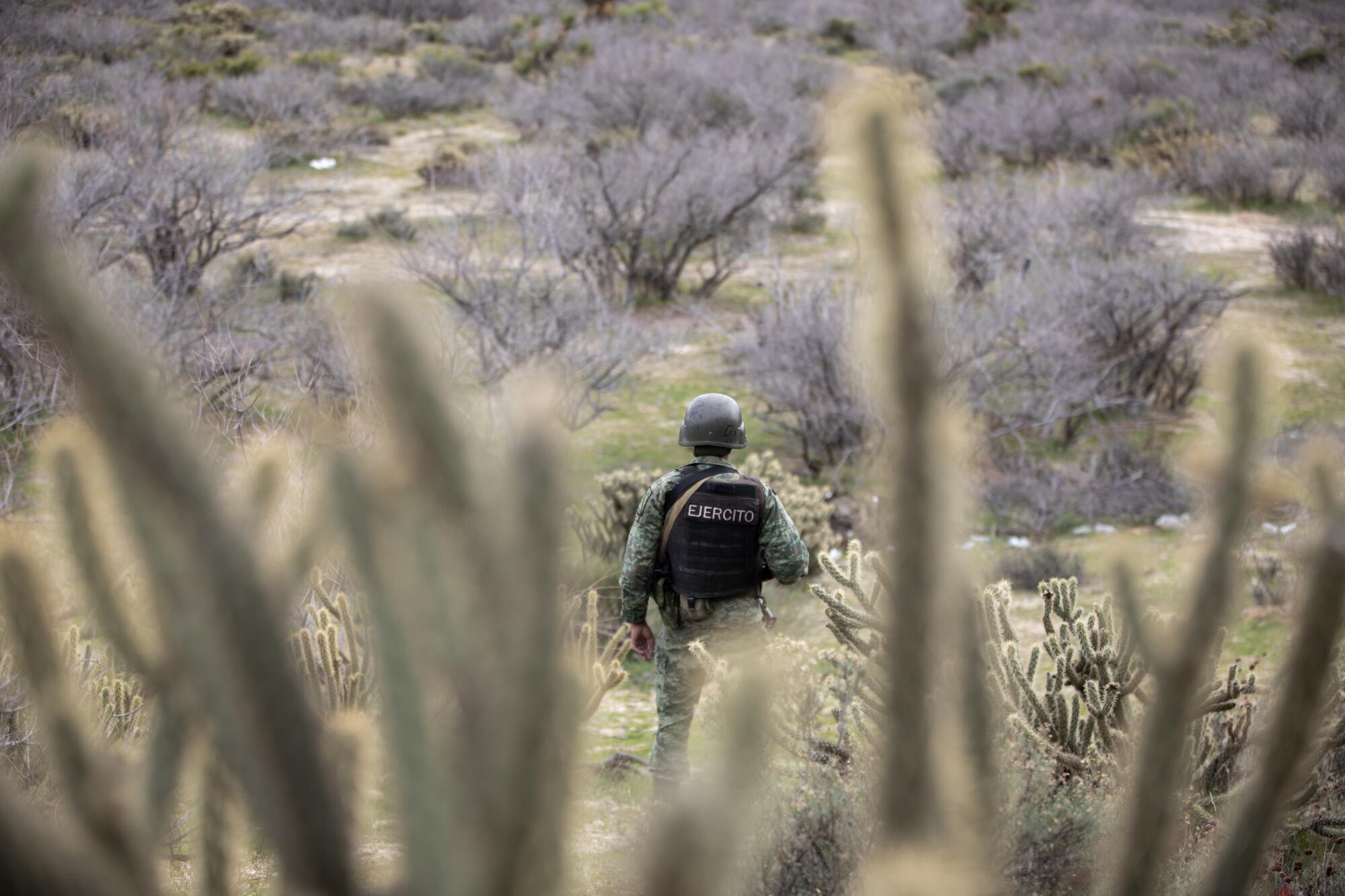 A member of the Mexican army monitors a camp's inspection points