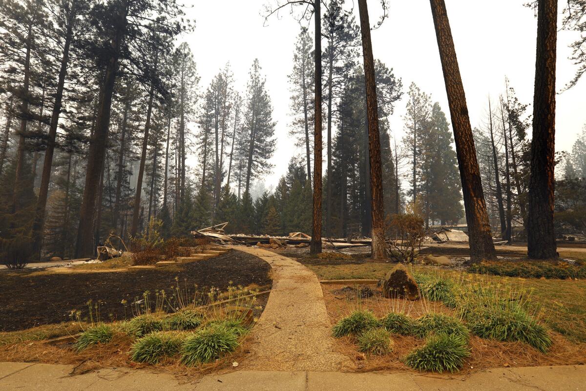 A home has disappeared but the vegetation surround the home remains in Paradise, CA, after the Camp fire destroyed over 6,500 homes.