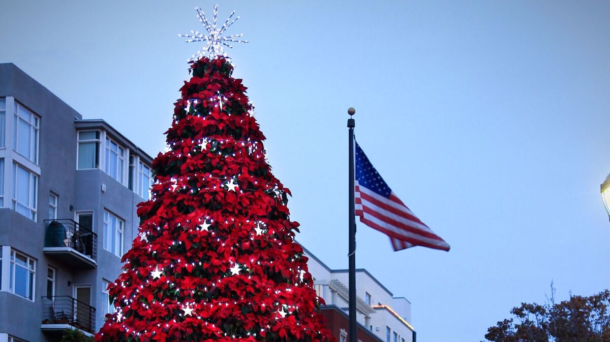 The 30-foot tall Little Italy Christmas Tree on India Street at Fir Street in Piazza Basilone is made out of more than 1,100 poinsettias.