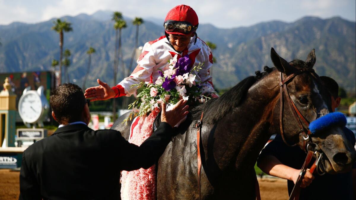 Jockey Mike Smith, riding Roadster, wins the Santa Anita Derby on Saturday.