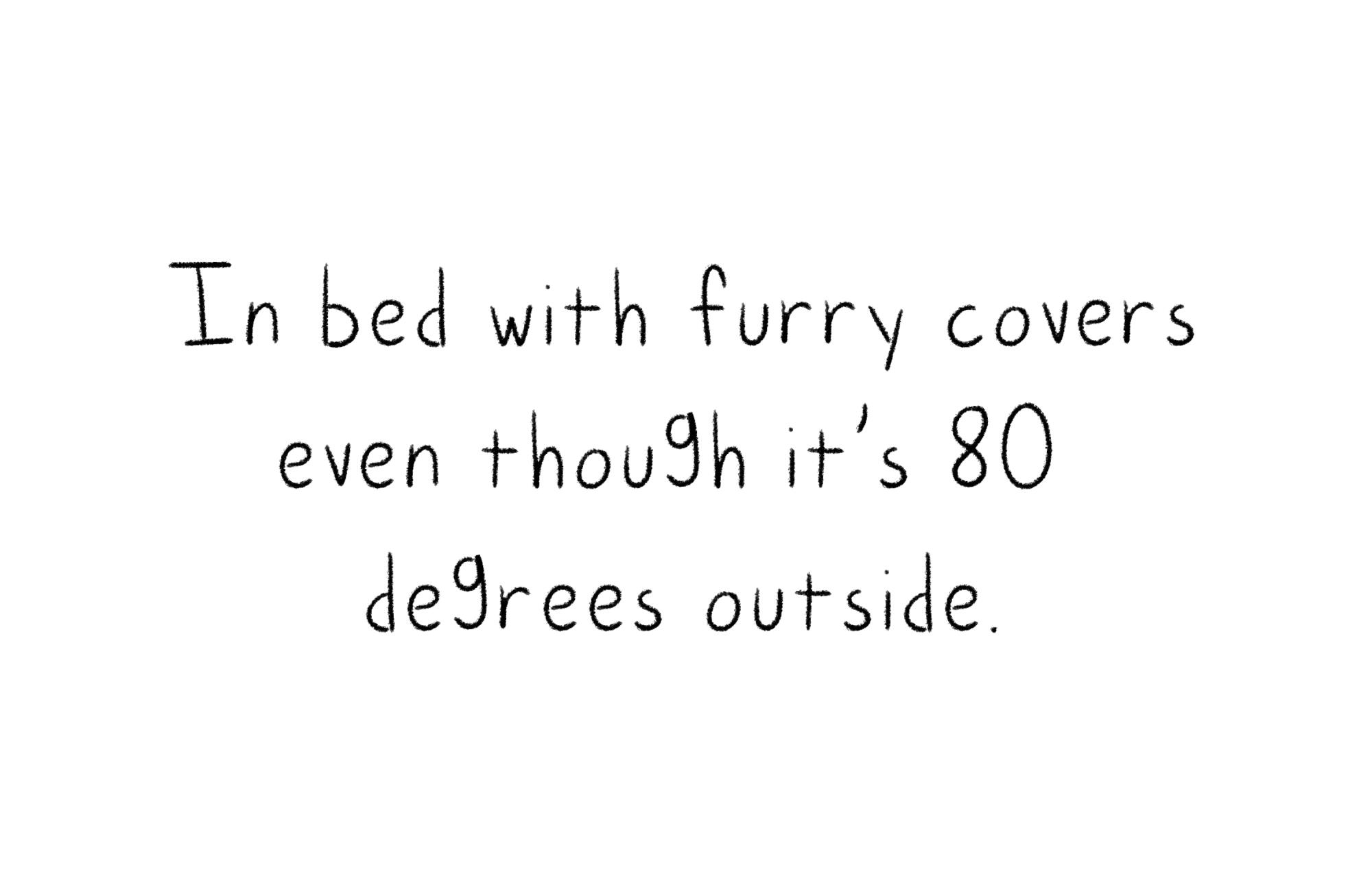 The words "In bed with furry covers even though it's 80 degrees outside."