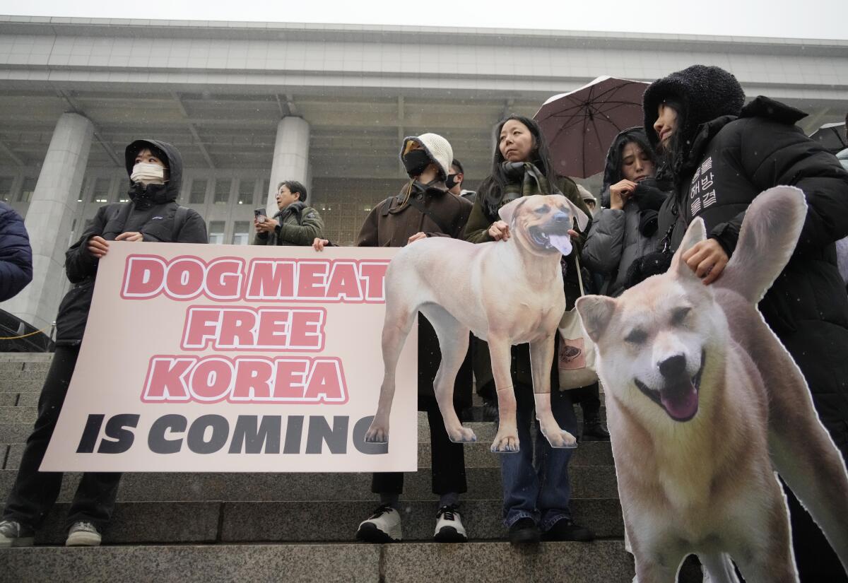 People in dark clothing hold up images of dogs and a sign that says "Dog meat free Korea is coming"