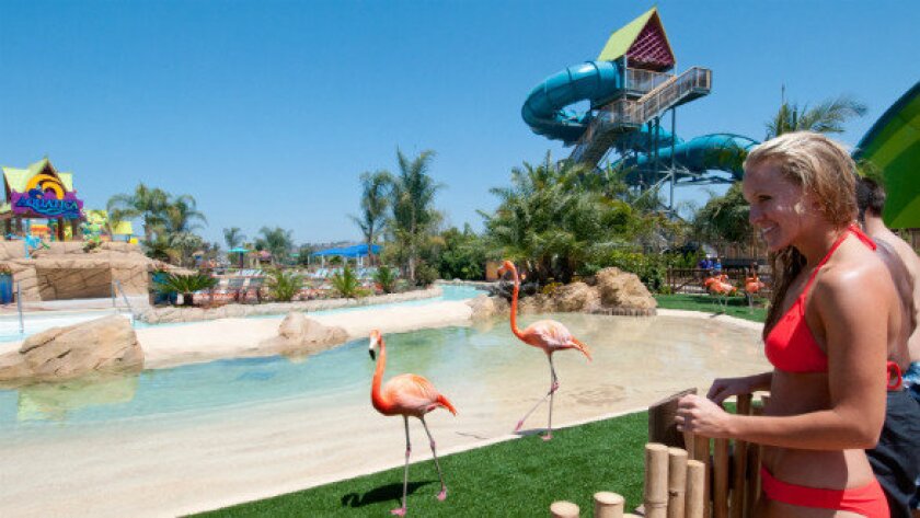 Review Seaworld S Water Park Doesn T Live Up To Aquatica Name Los Angeles Times