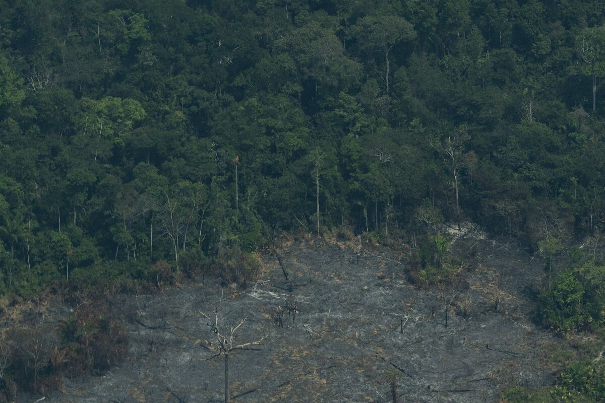 A devastated area of Amazon rainforest in Altamira, Brazil, on Wednesday.