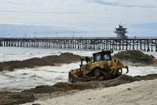 As part of a federally supported project, freshly pumped sand hit San Clemente's beaches on Thursday