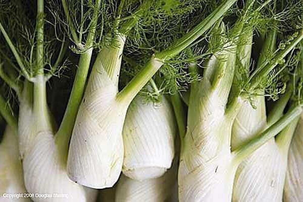 No matter how delicious cooks may find fennel, it is classified as an invasive species in Southern California.