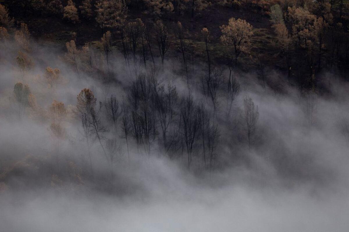 Fog creeps up over a Camp fire burn area along Butte creek, viewed from Skyway, headed into the town of Paradise on Dec. 15, 2018.