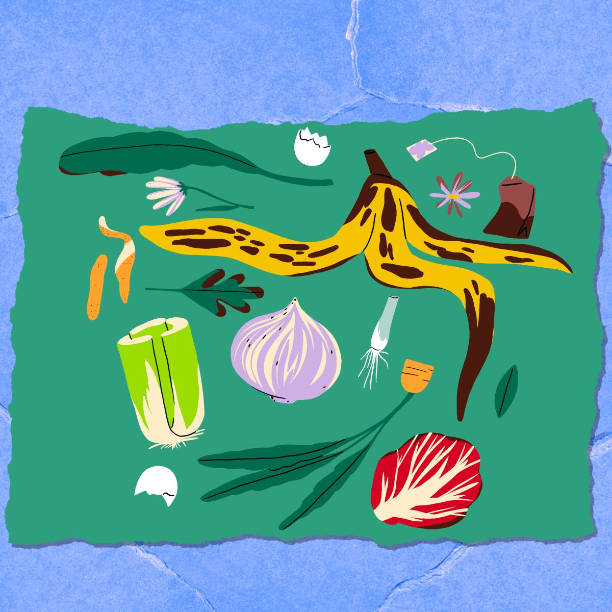 An illustration of a banana peel, eggshell and various food waste.