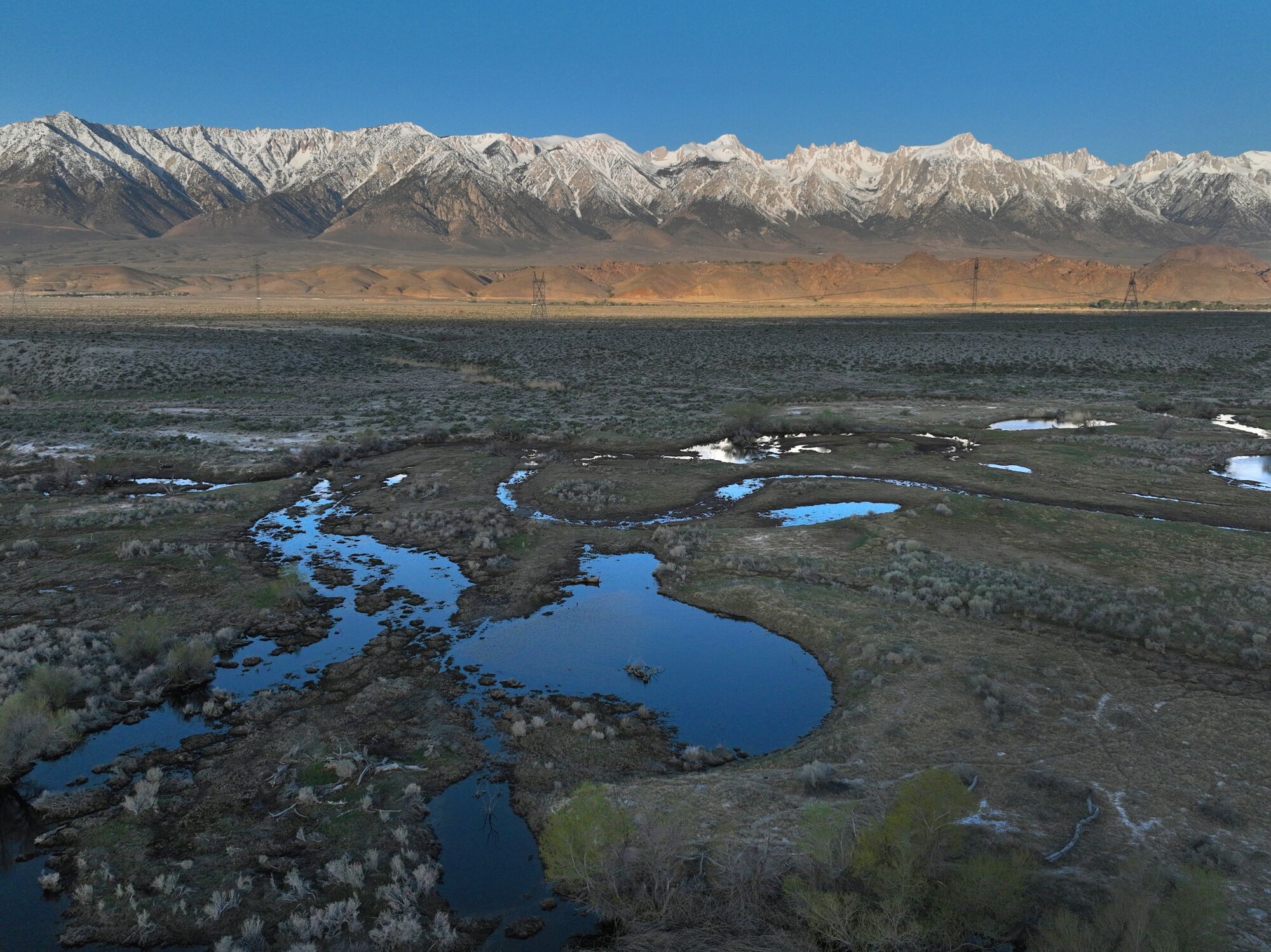 Water seeped into the ground in the Lower Owens River. 