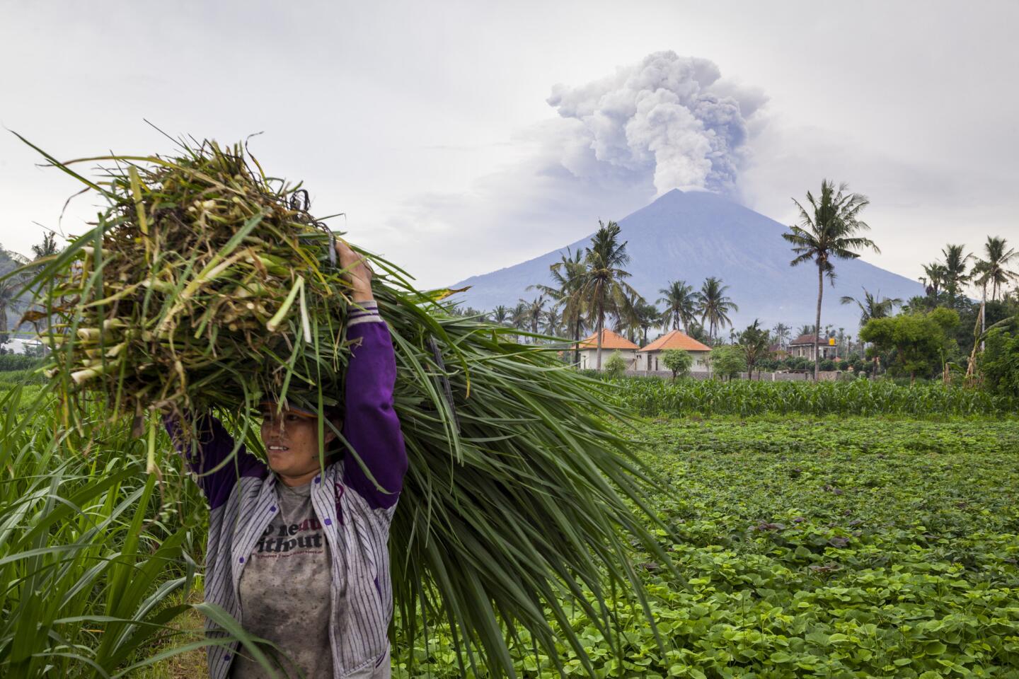 Eruption of Mt. Agung volcano on Bali strands thousands of travelers