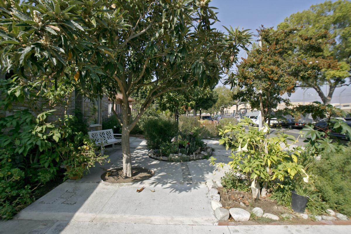 It took Juan Jimenez about 6 months to finish his front yard on the 300 block of Keystone Avenue in Burbank on Friday, Nov. 2, 2012. Jimenez planted droughtÃ‚Â¿tolerant plants and added concrete in his front yard to save money on water use.