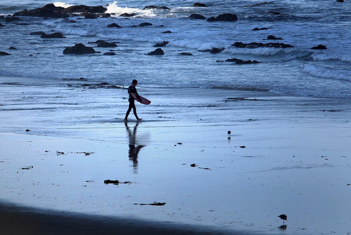 Salt Creek Beach in Dana Point, near where a shark was seen Tuesday afternoon.