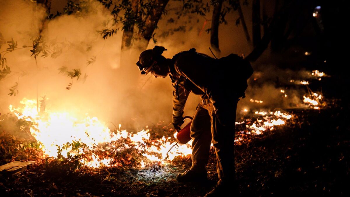 A firefighter burns vegetation to prevent flames from crossing Highway 29 on Oct. 12. (Marcus Yam / Los Angeles Times)