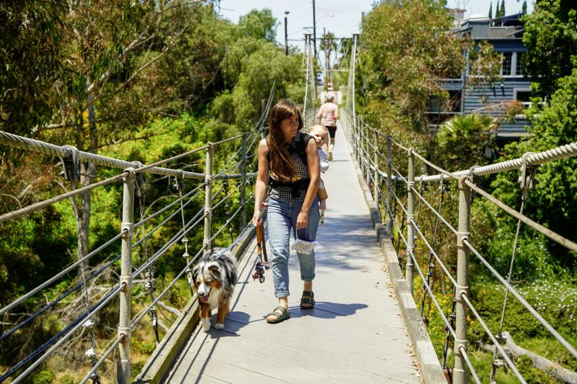 San Diego, California - May 14: Sonya Downs with her one-year-old daughter Tilia walking Inti a Border Collie crossing the Spruce Street suspension bridge in Bankers Hill on Tuesday, May 14, 2024 in San Diego, California. (Alejandro Tamayo / The San Diego Union-Tribune)