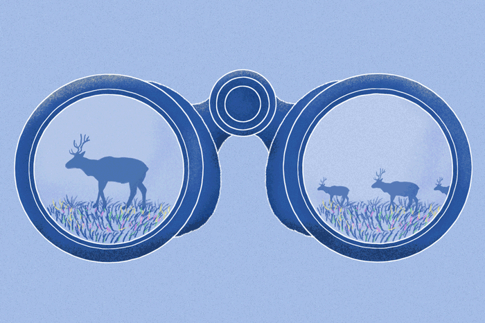 Reflection of elk silhouettes on a pair of binoculars.