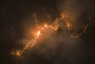 Los árboles arden mientras las llamas y el humo envuelven un área en Santa Juana, Chile, el lunes 6 de febrero de 2023. Los incendios forestales se están extendiendo en el sur y centro de Chile provocando evacuaciones y la declaración de estado de emergencia en algunas regiones. (Foto AP/Matías Delacroix)