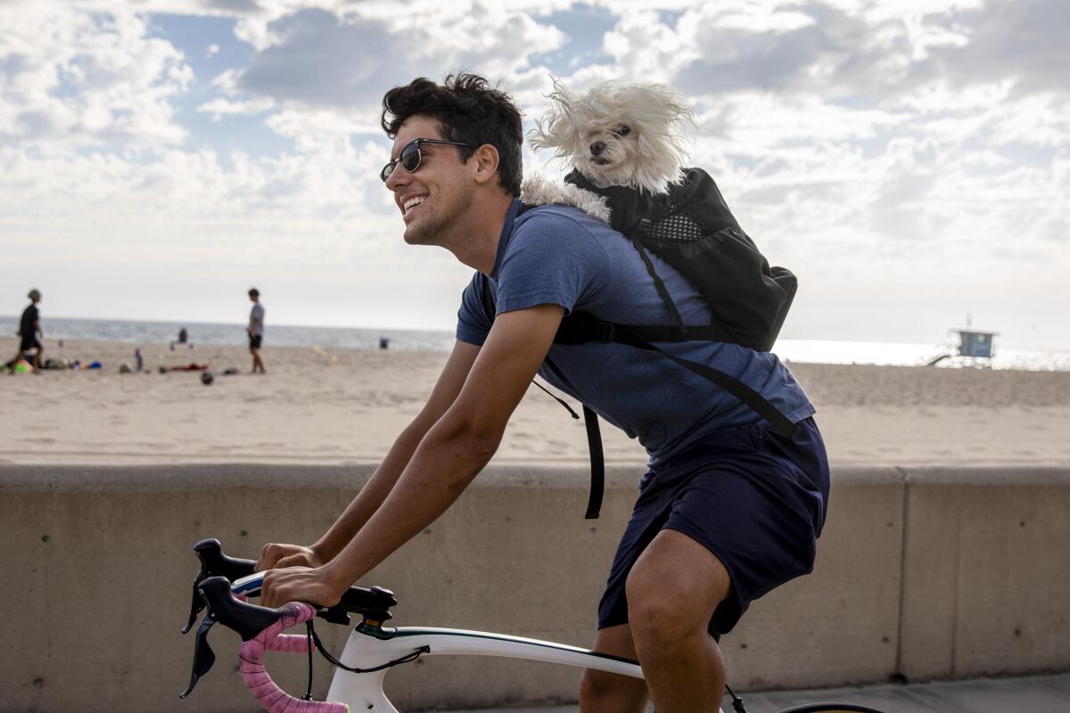 A man bikes with a dog in his backpack along a beach.