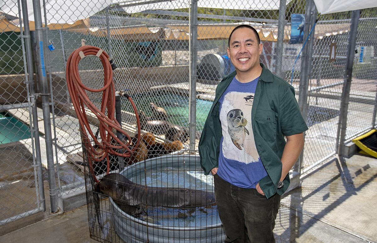 Pacific Marine Mammal Center CEO Peter Chang in 2018