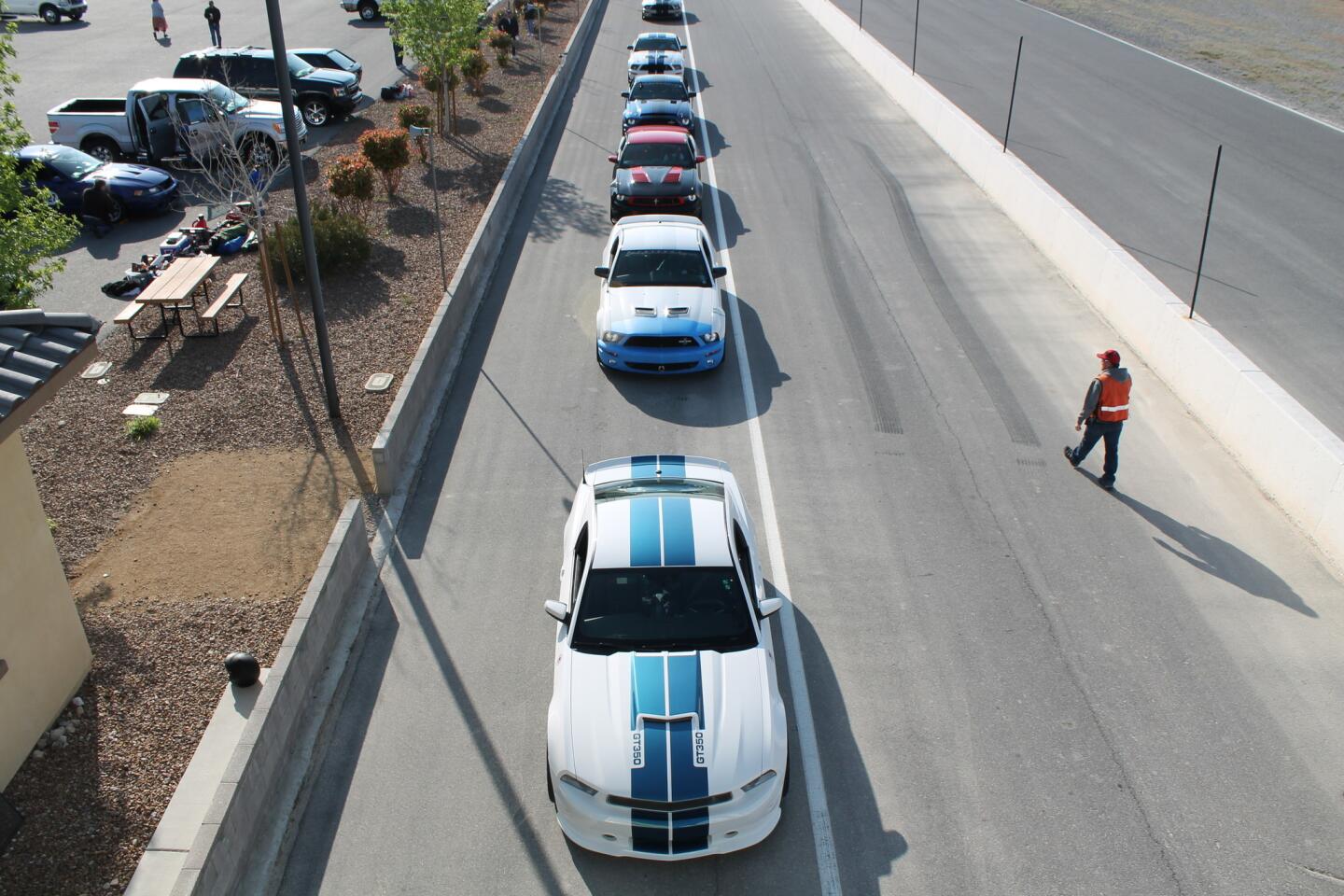 Attendees to the 6th annual Shelby Bash lineup for track time at Spring Mountain Motorsports Ranch in Pahrump, NV.