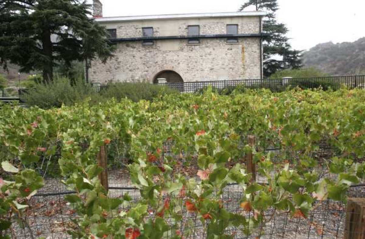 Grape vines line the side of the historic winery at Deukmejian Wilderness Park.