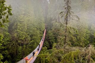 Capilano Suspension Bridge Park, Vancouver.