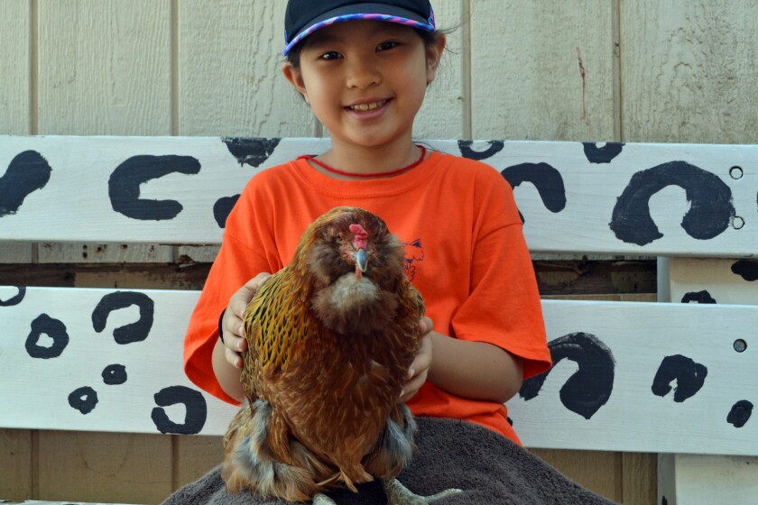 Helen Woodward Animal Center